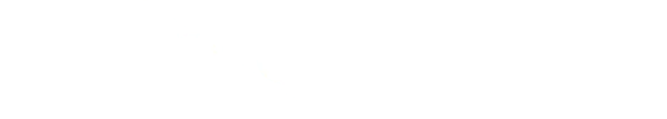 Premiersoft